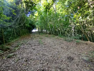 Área rural, foto 5