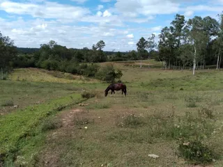 Área rural com 2 dormitórios, foto 13