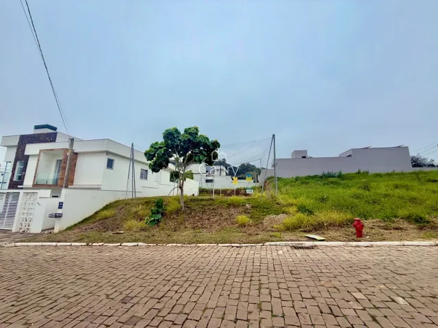 Terreno, foto 2