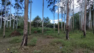 Área rural, foto 8