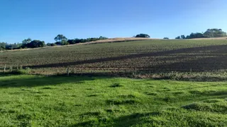 Área rural, foto 12