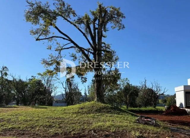 Terreno, foto 2