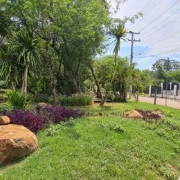 Vista de um jardim verde com vegetação e árvores ao fundo.