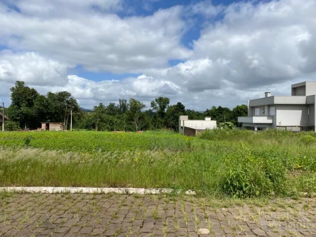 Terreno