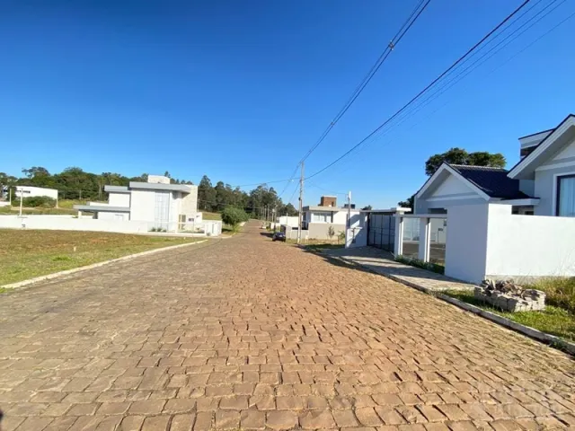 Terreno, foto 2