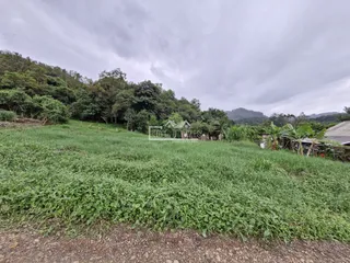 Terreno, foto 2