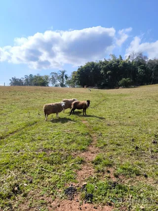 Terreno, foto 1