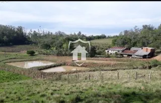 Área rural com 3 dormitórios, foto 10