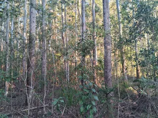 Área rural, foto 13