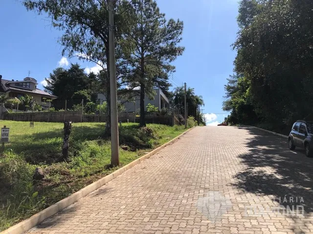 Terreno, foto 5