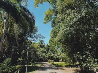 Vista de uma estrada arborizada em Lajeado, Brasil.