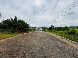 Vista de uma estrada pavimentada com vegetação ao longo do caminho.