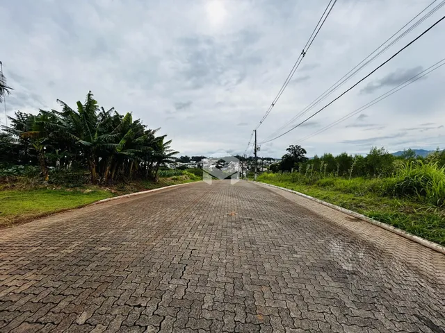 Vista de uma estrada pavimentada com vegetação ao longo do caminho.