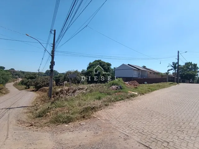 Vista da propriedade em Lajeado, Brasil, mostrando a estrada de terra e a vegetação ao redor.