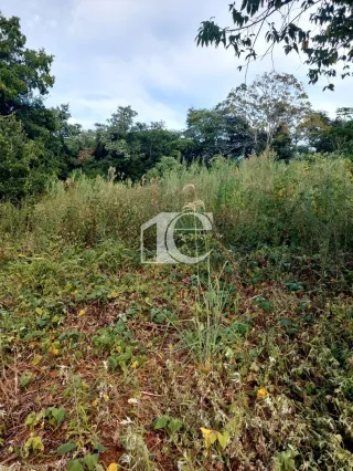 Terreno, foto 2