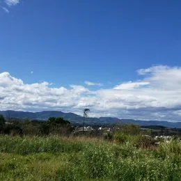 Terreno, foto 5