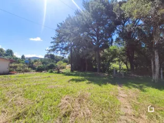 Campo gramado com árvores e trilha de terra.