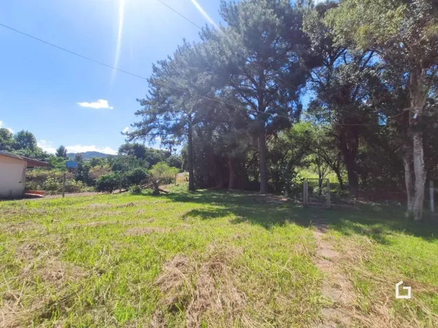 Campo gramado com árvores e trilha de terra.