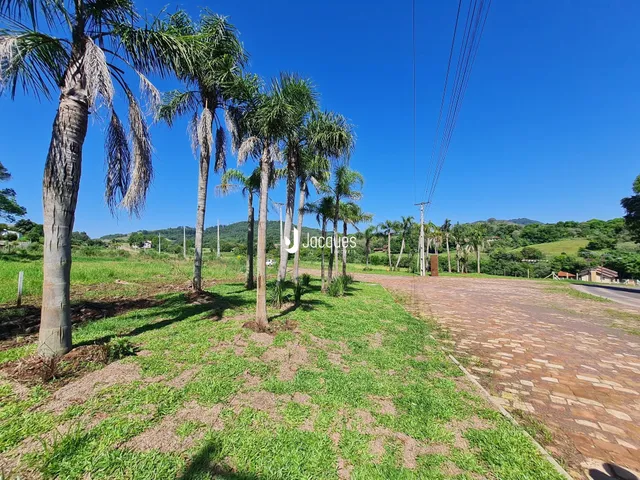 Vista da propriedade com árvores e gramado ao lado de uma estrada pavimentada.