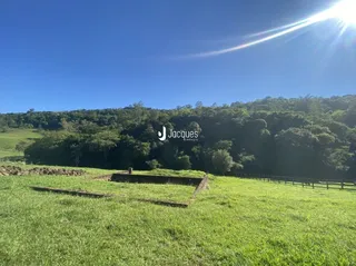 Campo gramado com cerca e floresta ao fundo.