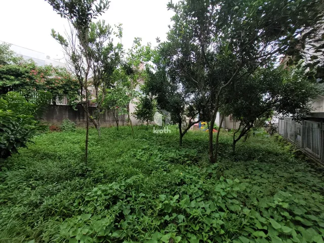Terreno, foto 5