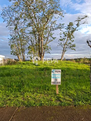 Terreno, foto 3