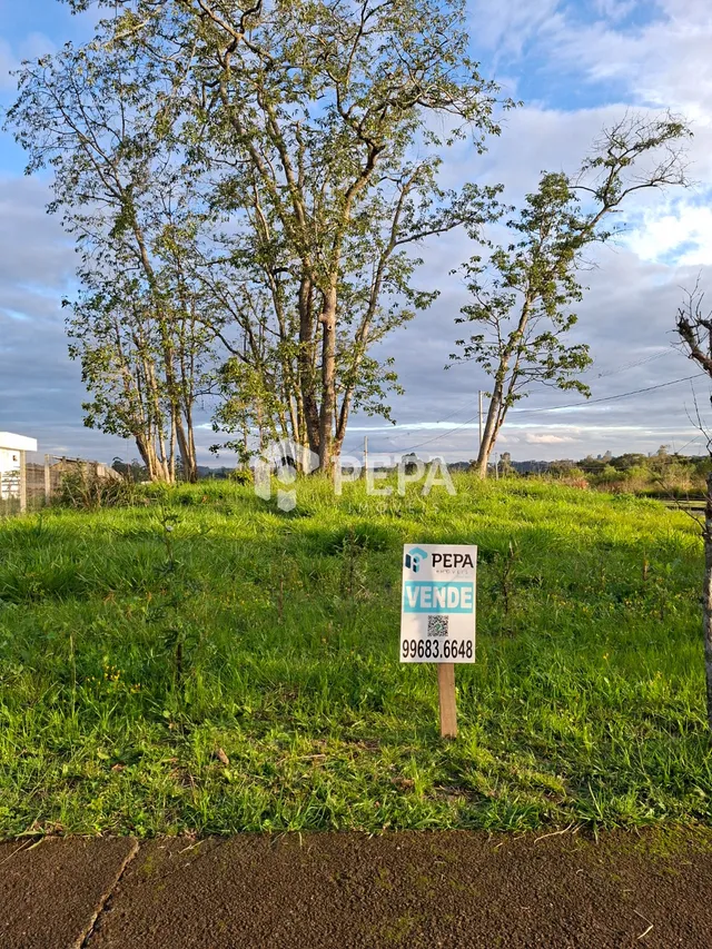 Terreno, foto 3