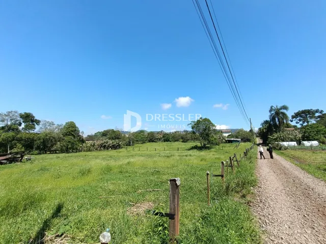 Campo verde com cerca e estrada de terra em uma paisagem rural.