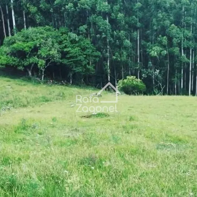 Área rural, foto 4