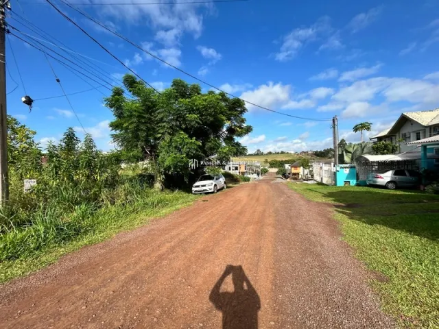 Terreno, foto 3