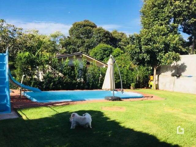 Vista externa de uma piscina e jardim com vegetação ao fundo.