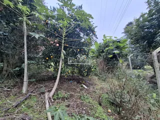 Área rural, foto 26