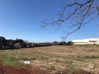 Vista de uma área de campo com vegetação seca e uma estrada de terra no Brasil.