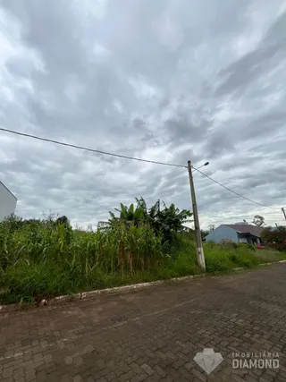 Terreno, foto 1