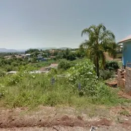 Vista externa de terreno com vegetação alta e solo exposto.