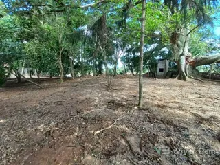 Área rural, foto 1