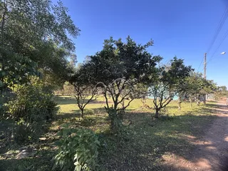 Vista externa de uma área verde com árvores e grama em Lajeado.