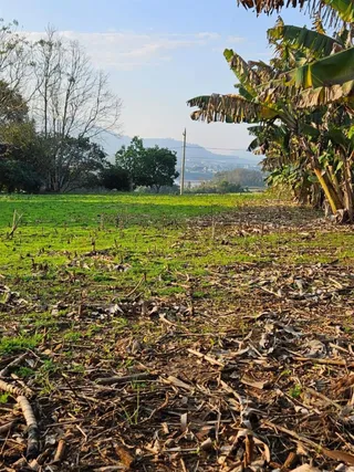 Área rural com 2 dormitórios, foto 12