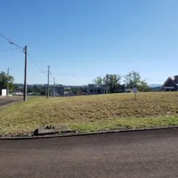 Terreno, foto 2