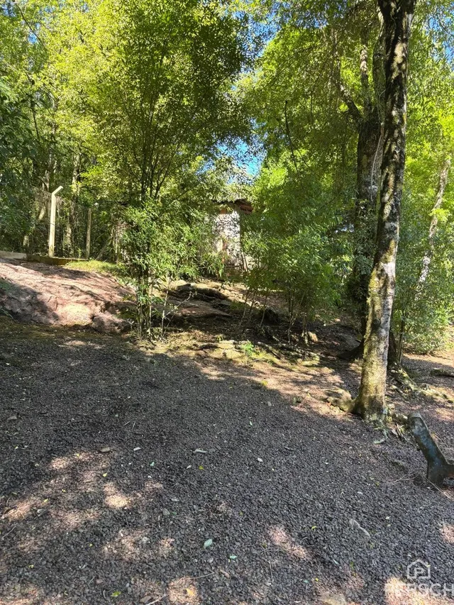 Área rural, foto 3