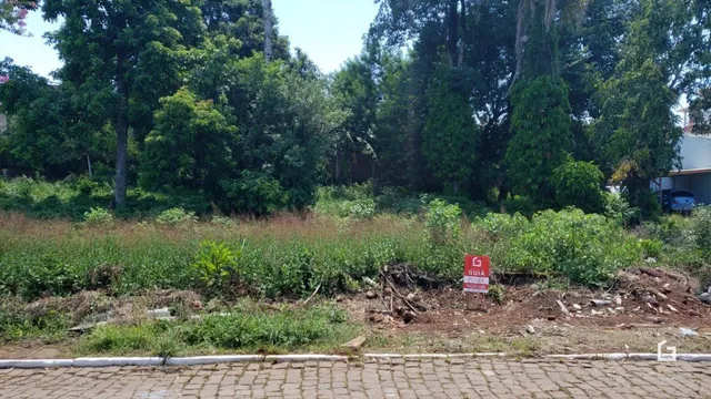 Vista da vegetação densa e terra no exterior da propriedade.