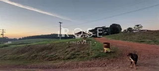 Área rural com 3 dormitórios, foto 5