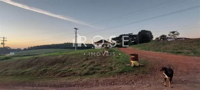 Área rural com 3 dormitórios, foto 5