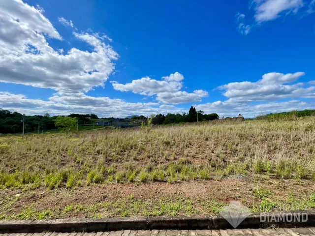 Paisagem de campo com vegetação seca e céu azul.