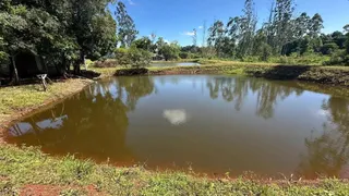 Área rural com 4 dormitórios, foto 24