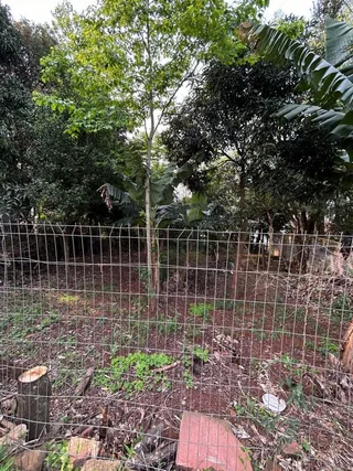 Terreno, foto 2