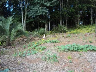 Terreno, foto 2