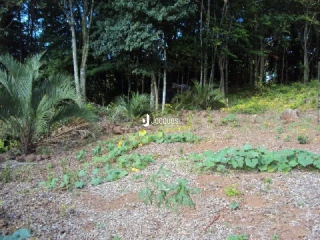 Terreno, foto 2