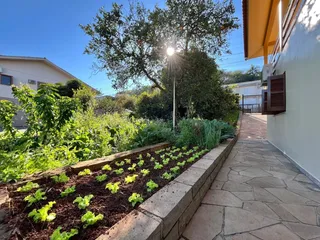 Casa com 3 dormitórios, foto 31