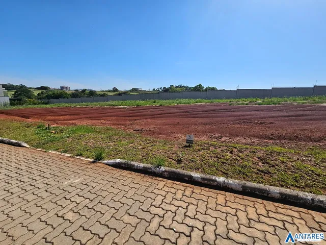 Terreno, foto 2